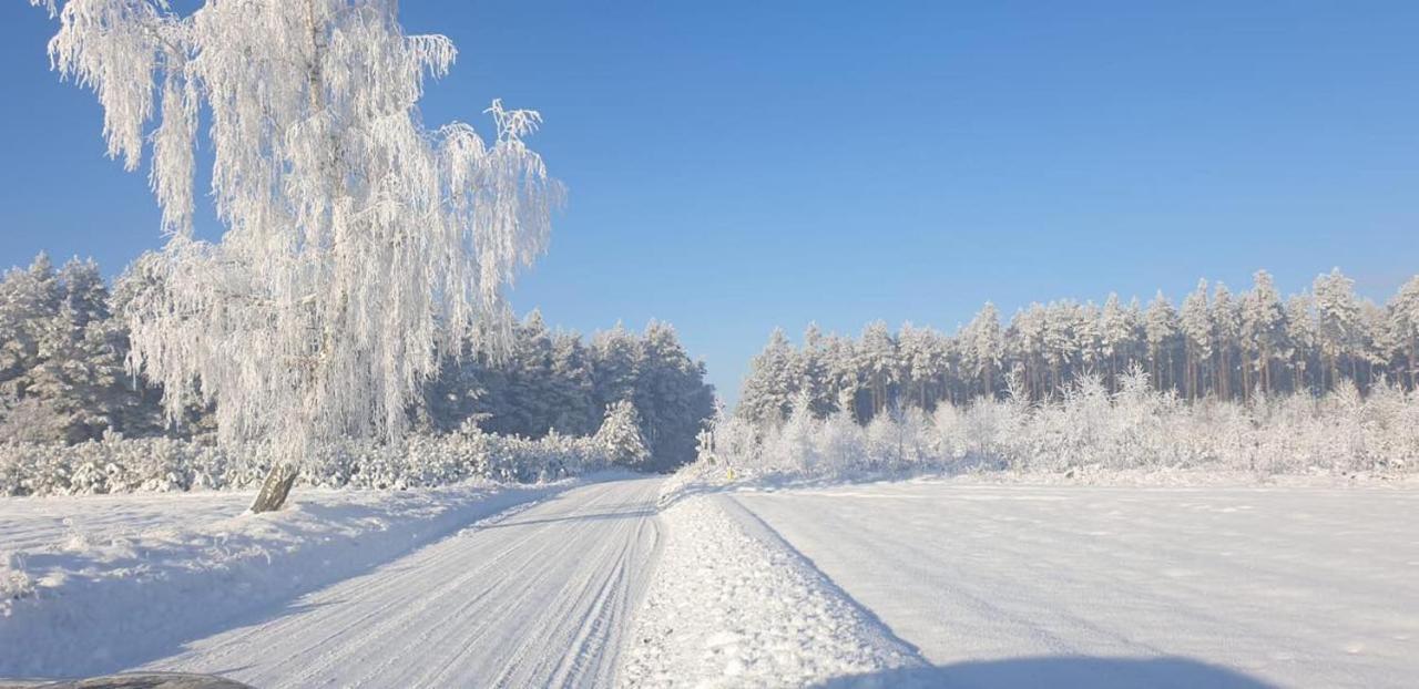 Ostoja Bukowo 12,2 Chata U Szoltesa Borowy Mlyn 外观 照片