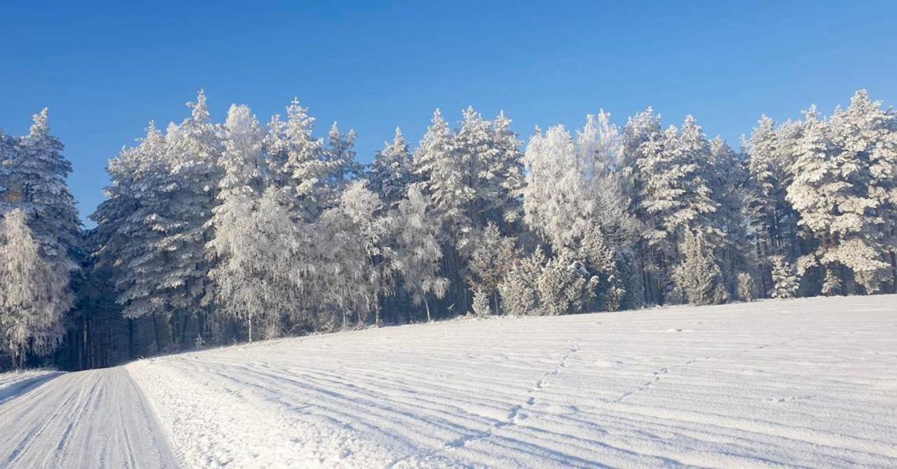 Ostoja Bukowo 12,2 Chata U Szoltesa Borowy Mlyn 外观 照片